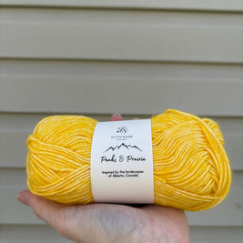 Yellow Columbine - Studio Yarn · Peaks & Prairie Collection