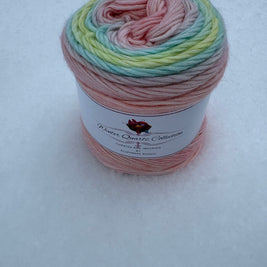 Snowberry Swirl – Studio Gradient Yarn | Winter Quartz Collection