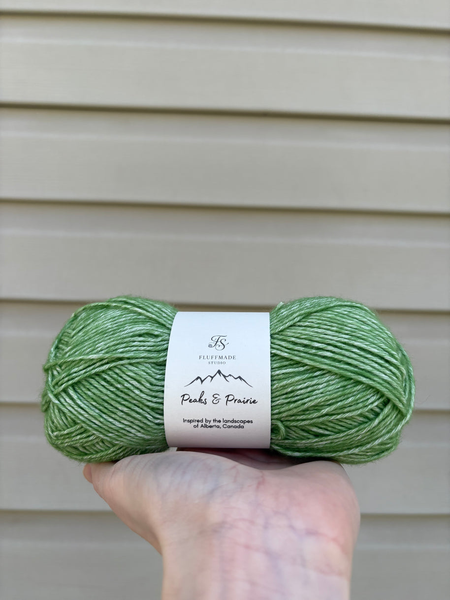 Plains Prickly Pear - Studio Yarn · Peaks & Prairie Collection
