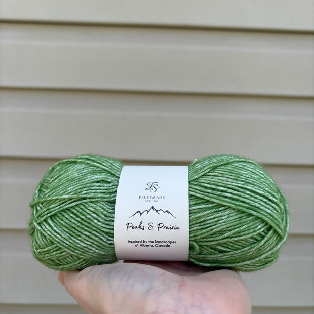 Plains Prickly Pear - Studio Yarn · Peaks & Prairie Collection