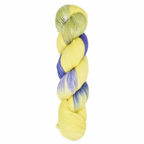 Araucania · Huasco Sock Prism Paints