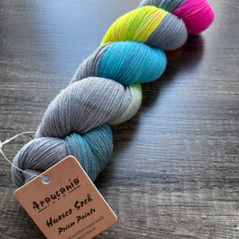 Araucania · Huasco Sock Prism Paints
