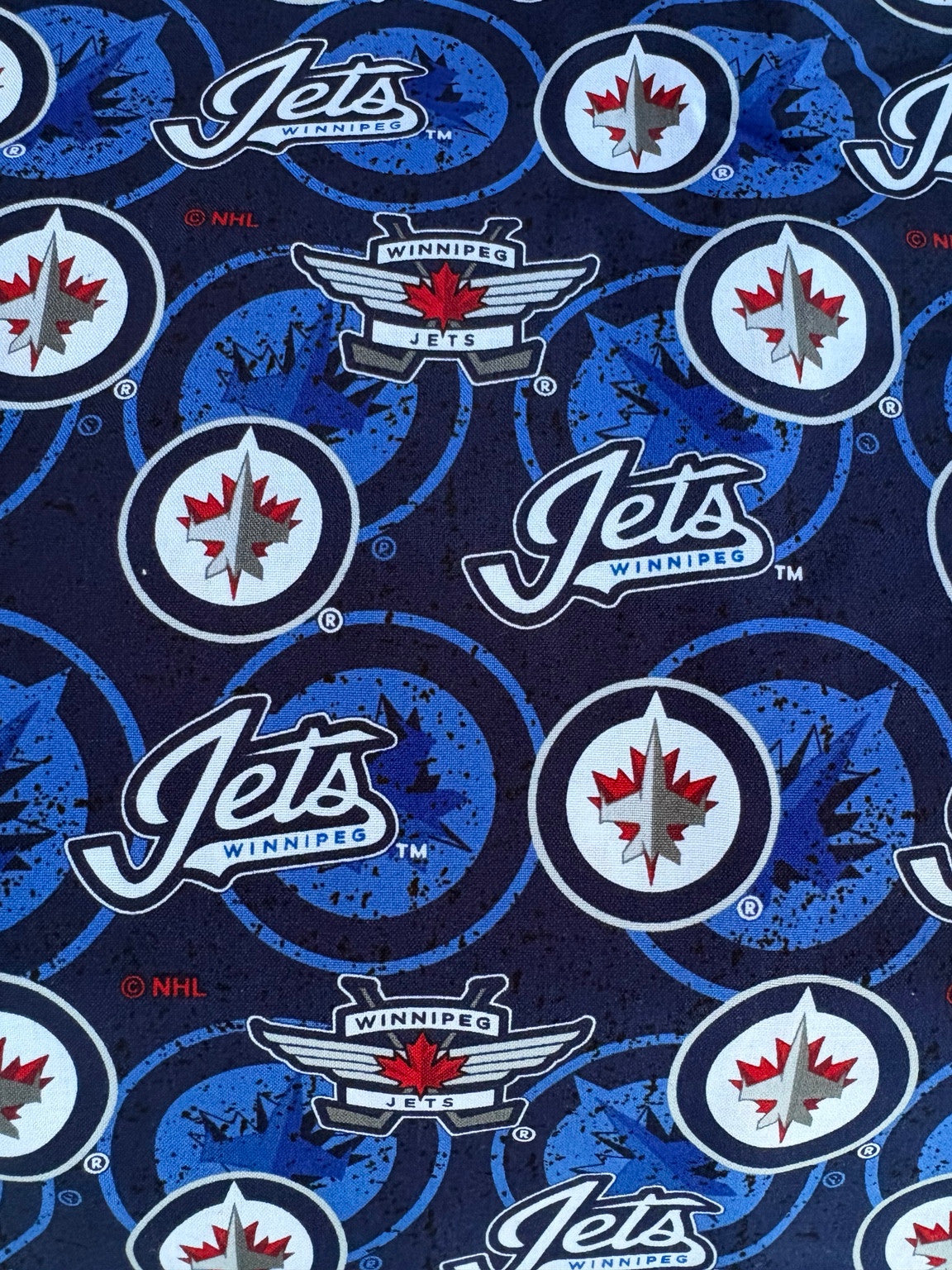 Winnipeg Jets logo fabric swatch for Team Pillow